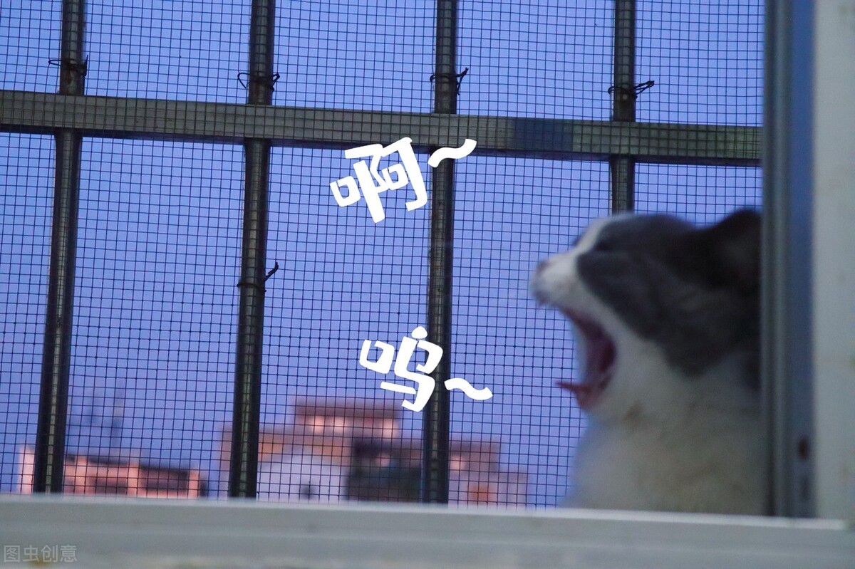 酵素果冻真能减肥吗有没有副作用,减肥吃果冻有副作用