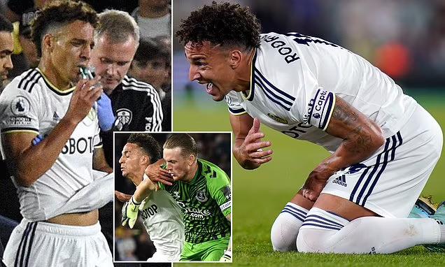 德容转会曼联最新消息,德容加盟曼联最新消息