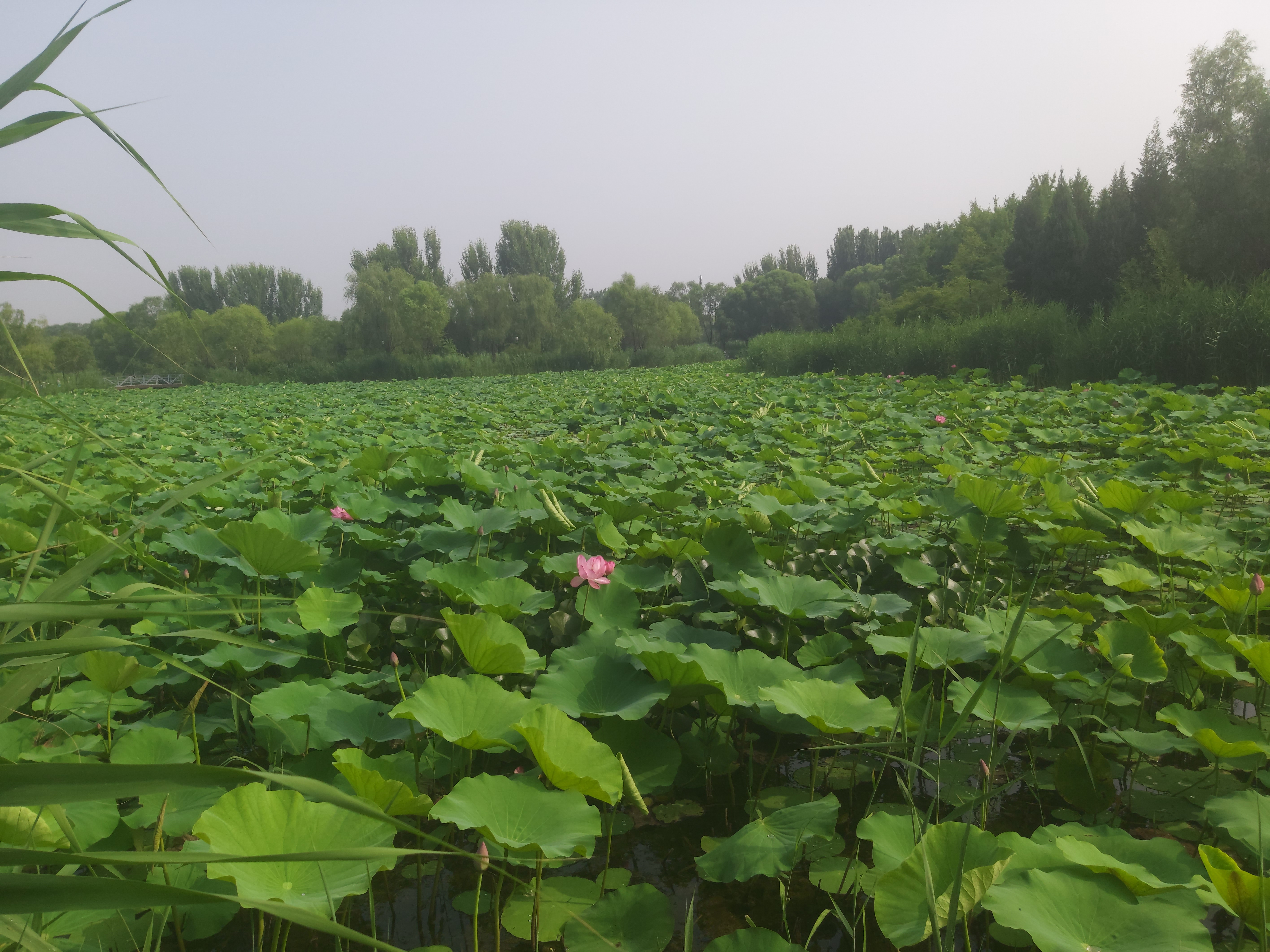 中国文化产业系列深度解析,浅析中国艺术文化产业的优势