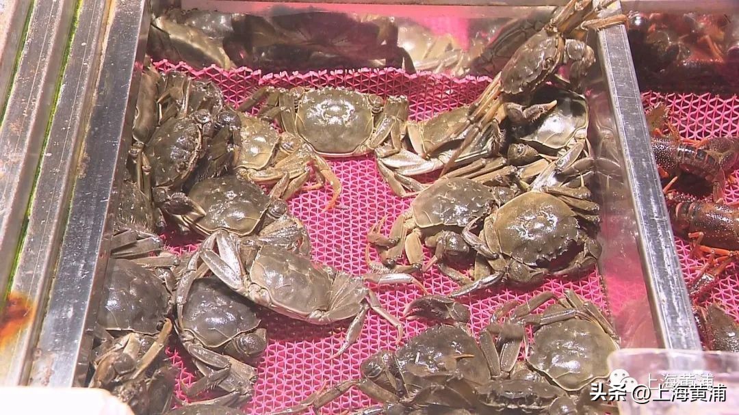 老饕的当季最爱，“六月黄”开始上市