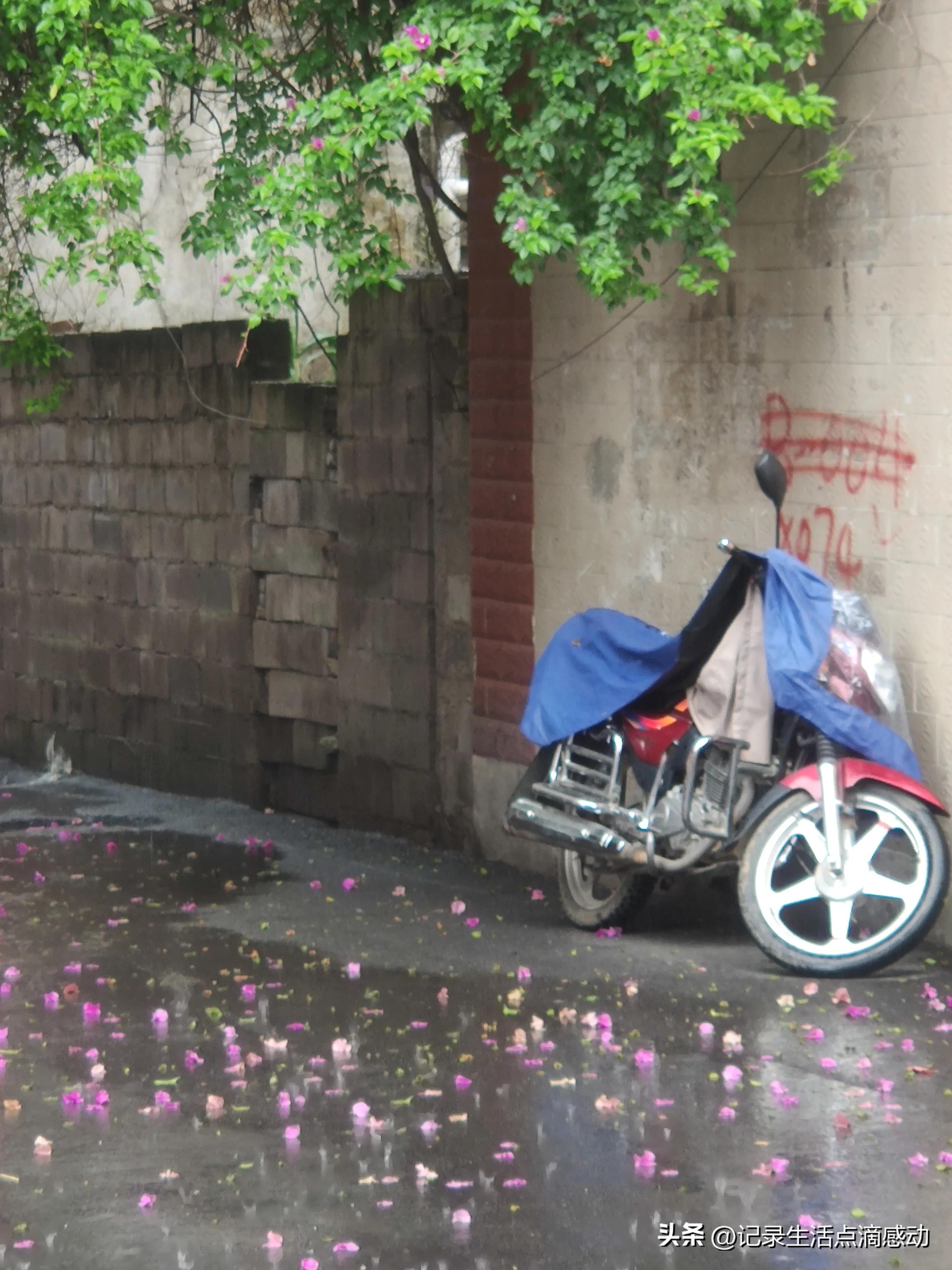 兴义定居最好的地方,兴义市外地人来定居的多吗