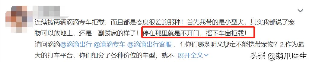 带猫网约车,带猫能打到网约车吗