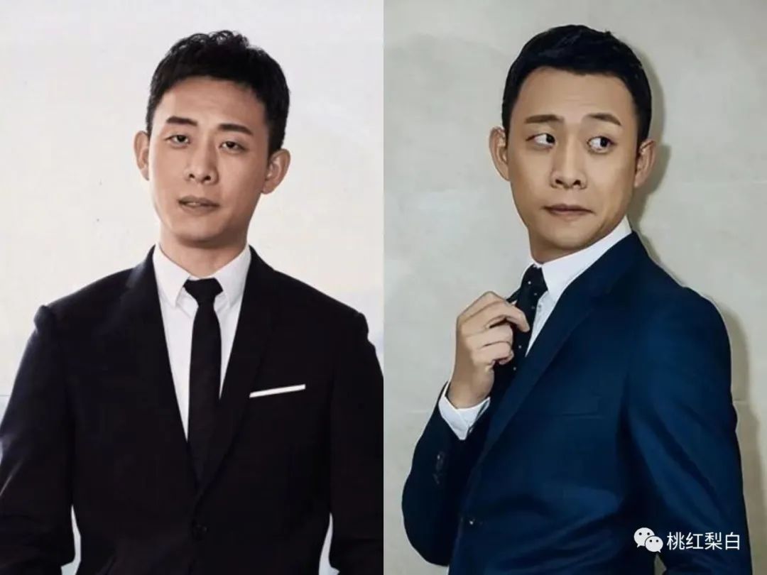 张译的演技特点和流派,圈内人如何评价张译的演技