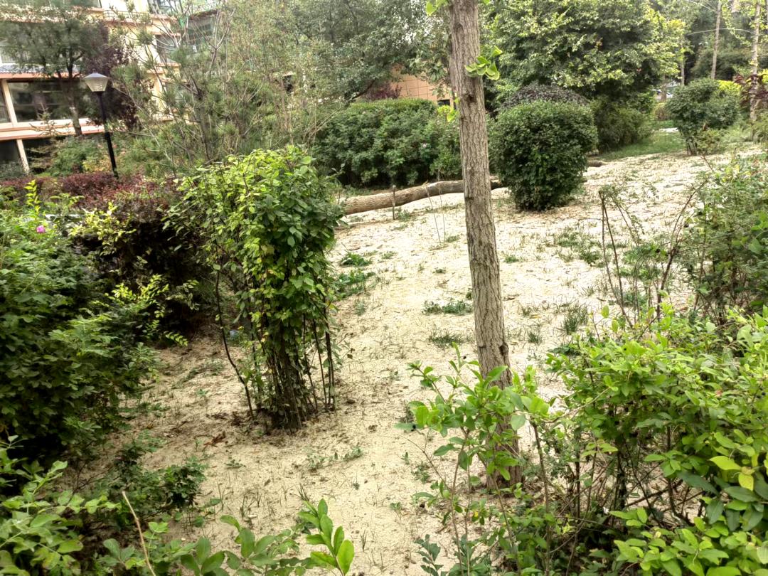 雨花台物业小区红黑榜,福马路物业排名