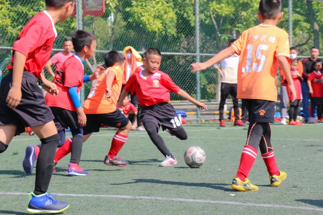 广东省青少年足球锦标赛男子甲组,中山2024青少年足球锦标赛