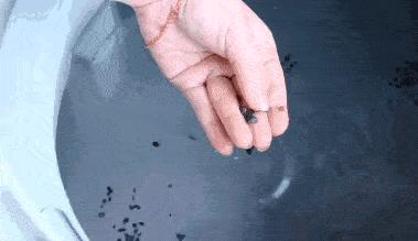 洗衣机洗衣服很多毛毛粘在衣服上,洗黑色衣服很多毛毛怎么处理