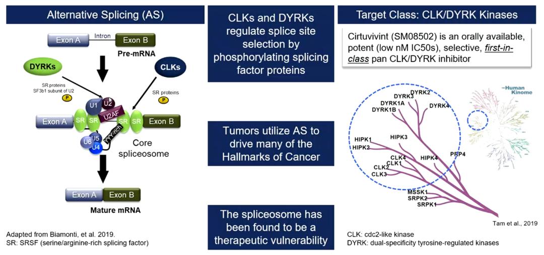 esmo2023,esmo靶向药