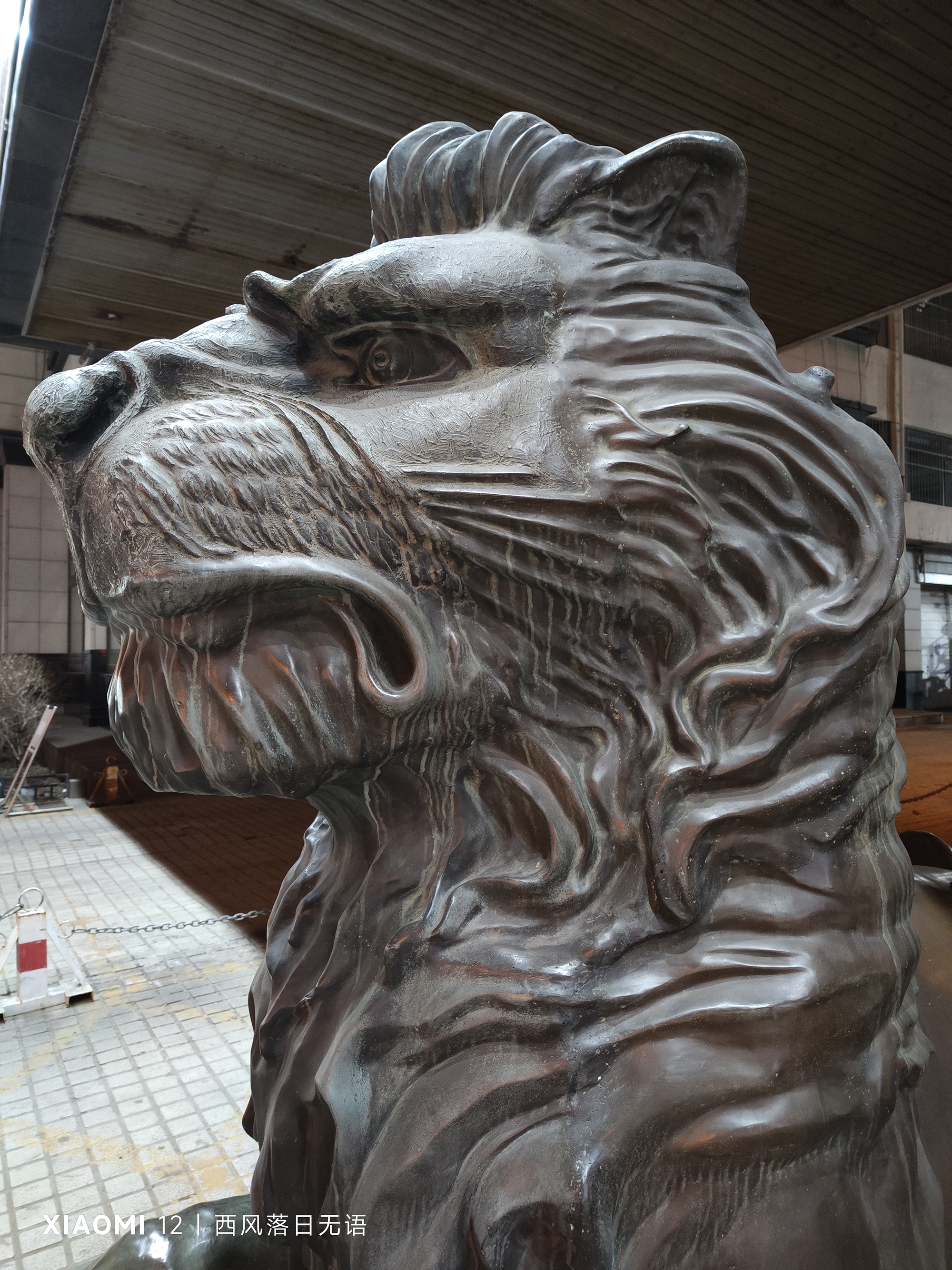 小米12哪一款更值得入手,小米12还值得入手么最新