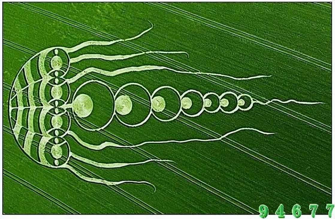 世界7大奇迹未解之谜,世界未解之谜五大禁地