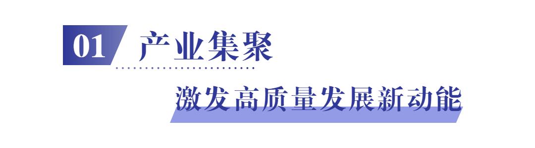 高新区转型发展迈出新步伐,迈上新台阶实现新跨越向纵深发展