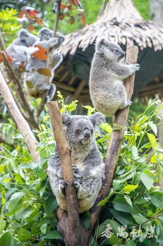 五一节番禺区周边游,番禺五一假期去哪玩