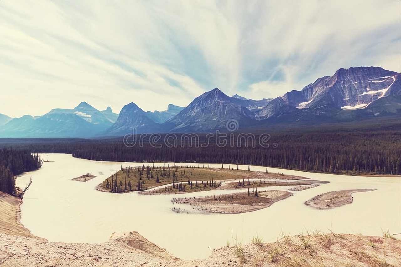 国际快递申报价怎么填写 (国际快递货值标准)