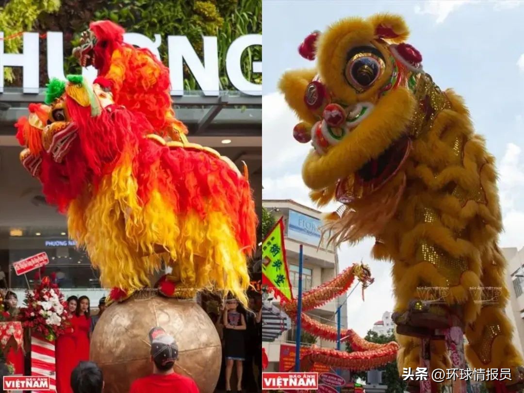 猫为什么没有入选十二生肖,越南为什么把兔年叫猫年