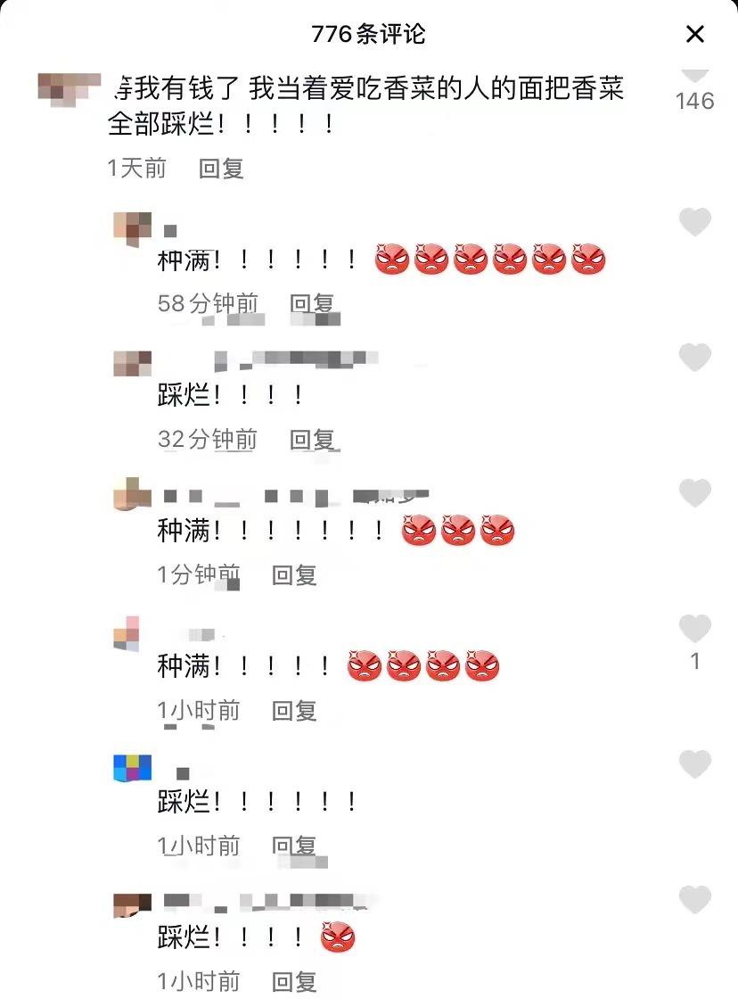 麦当劳还是没吃到香菜味冰淇淋,麦当劳香菜味冰激凌为什么买不了