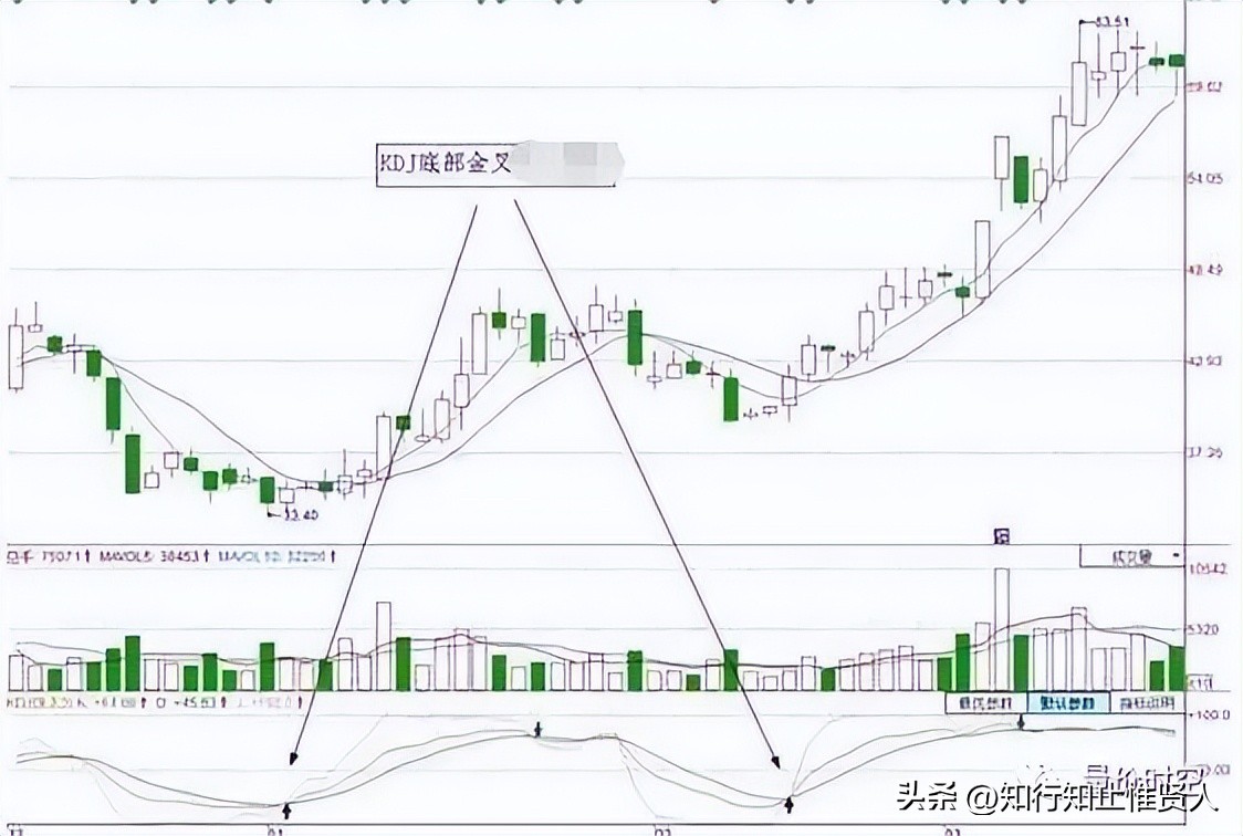 学到极致是什么意思,学到极致便是沧海一粟