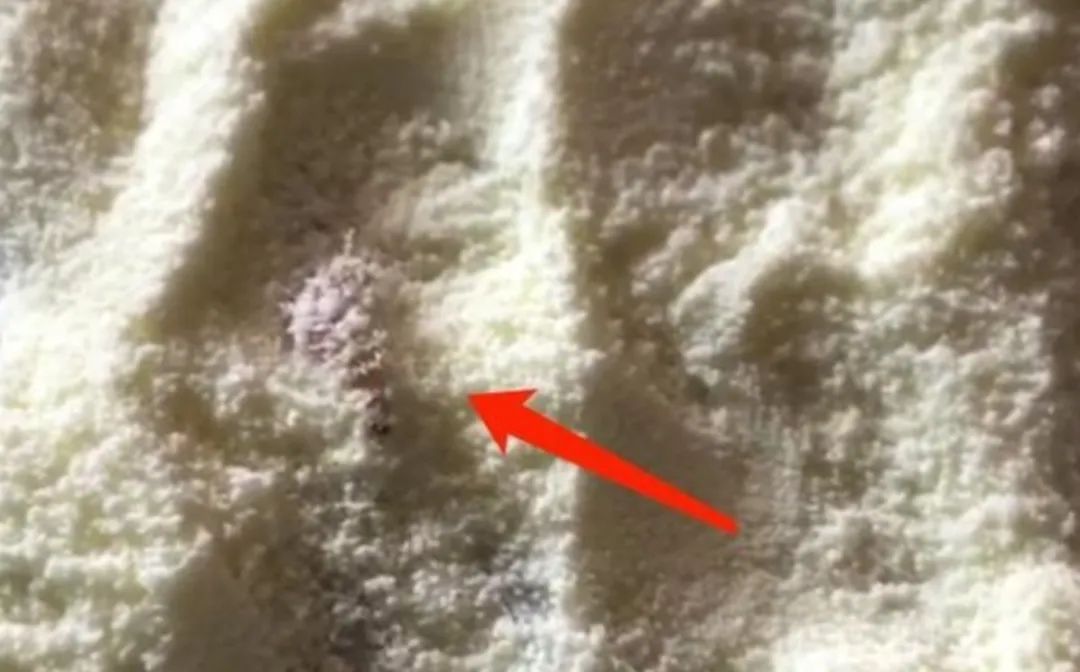 谁在说谎?爱他美婴儿奶粉生虫真相