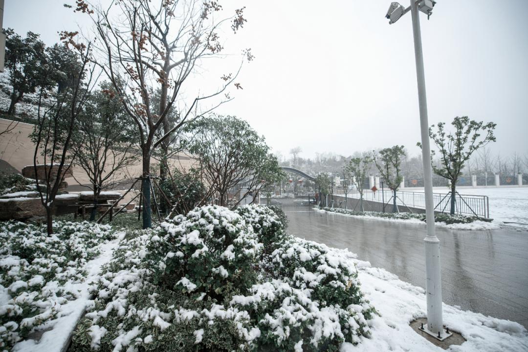 南京燕子矶中学特色,南京燕子矶中学在南京市排名