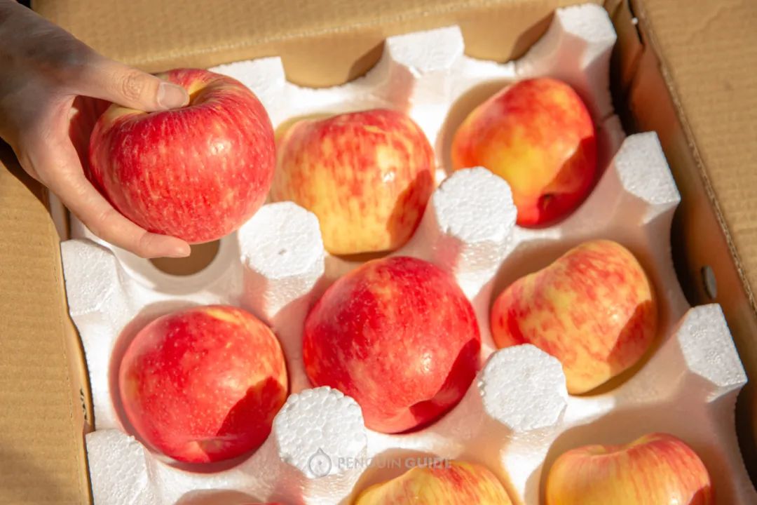 盒马鲜生海鲜必买清单大全,盒马抢购攻略捡漏