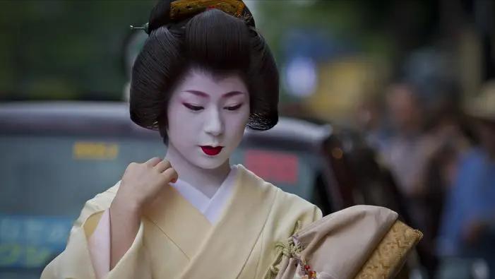 日本的幕府政治制度模式,日本幕府统治危机原因