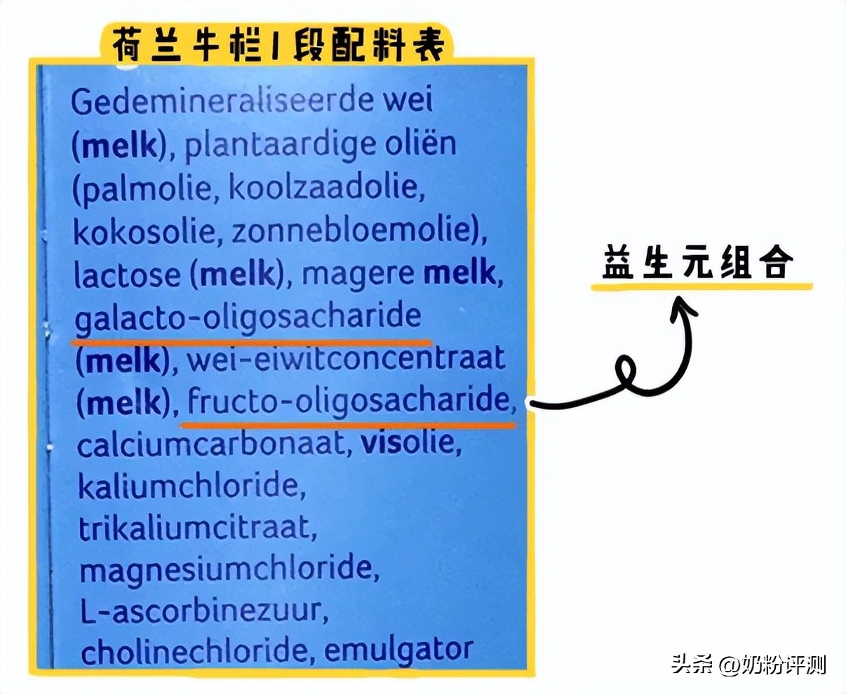 荷兰牛栏怎么那么甜,荷兰本土牛栏跟荷兰牛栏一样吗