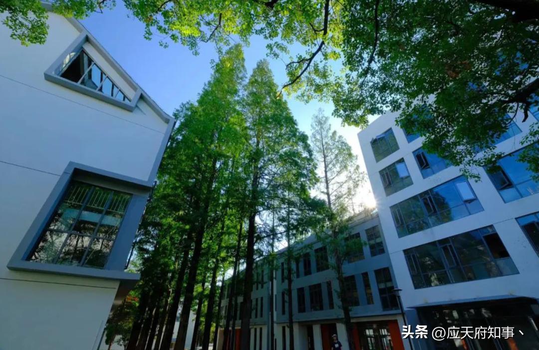 南京板仓街规划图,南京板仓街属于哪个区