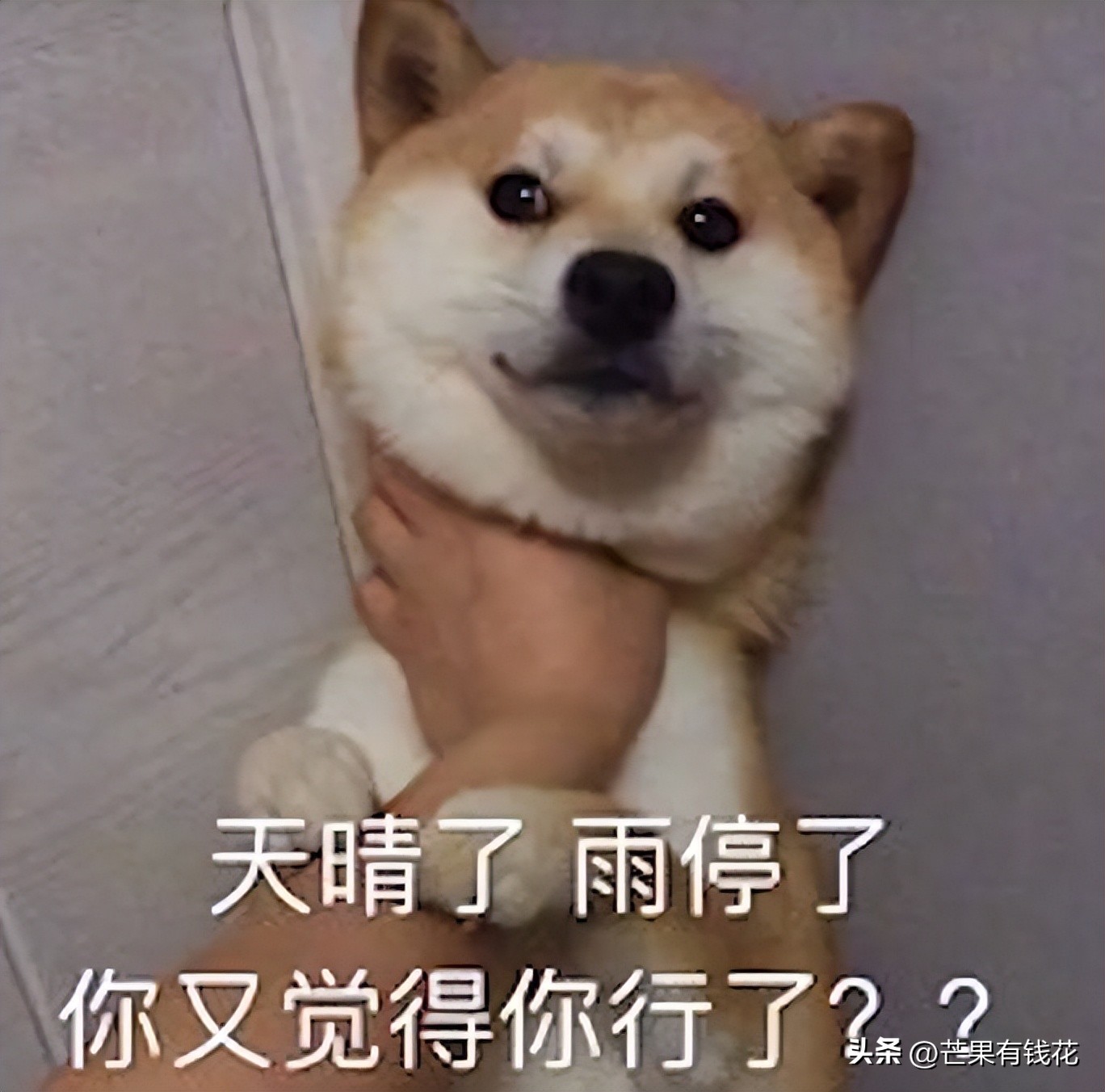 拒绝摆烂努力挣钱,拒绝摆烂上一句