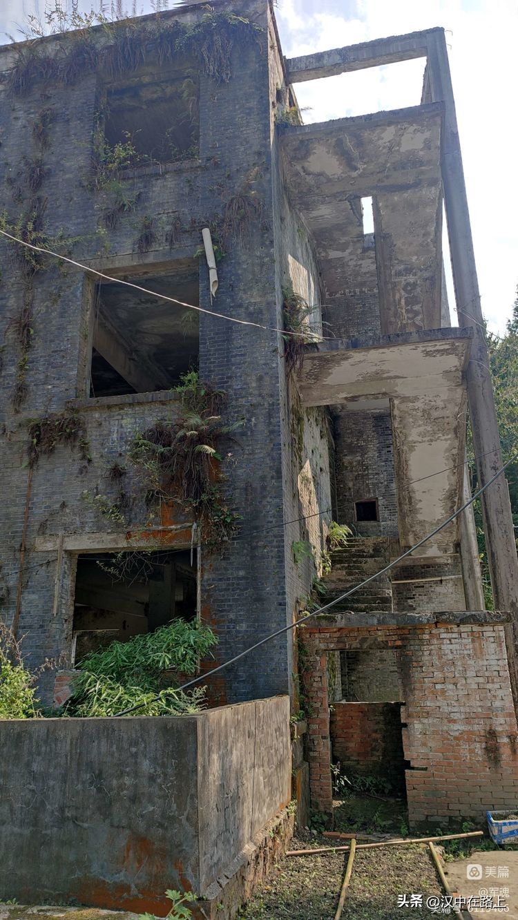 南峰心声,南峰情头