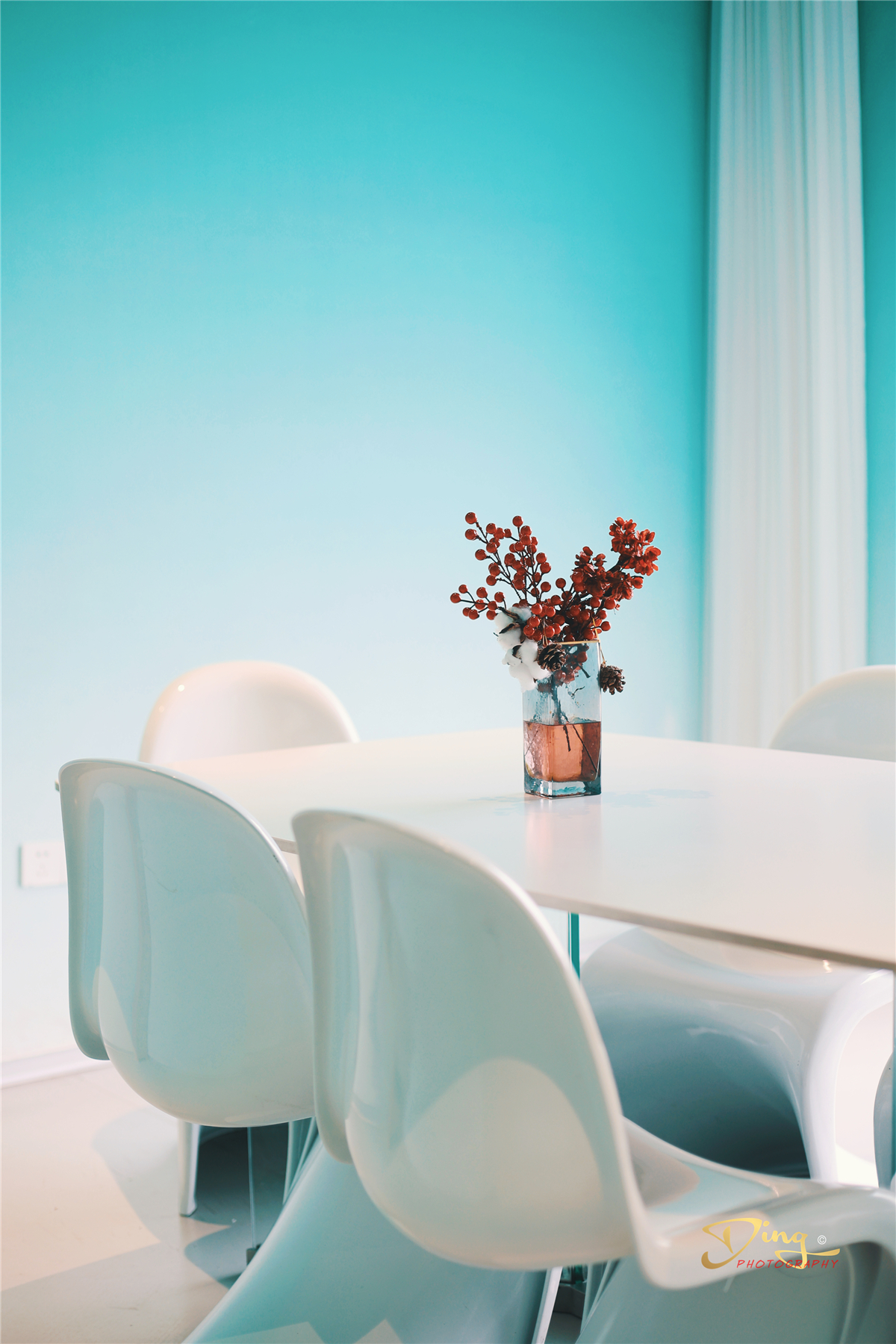 苏州东太湖游玩攻略,春节东太湖旅游攻略