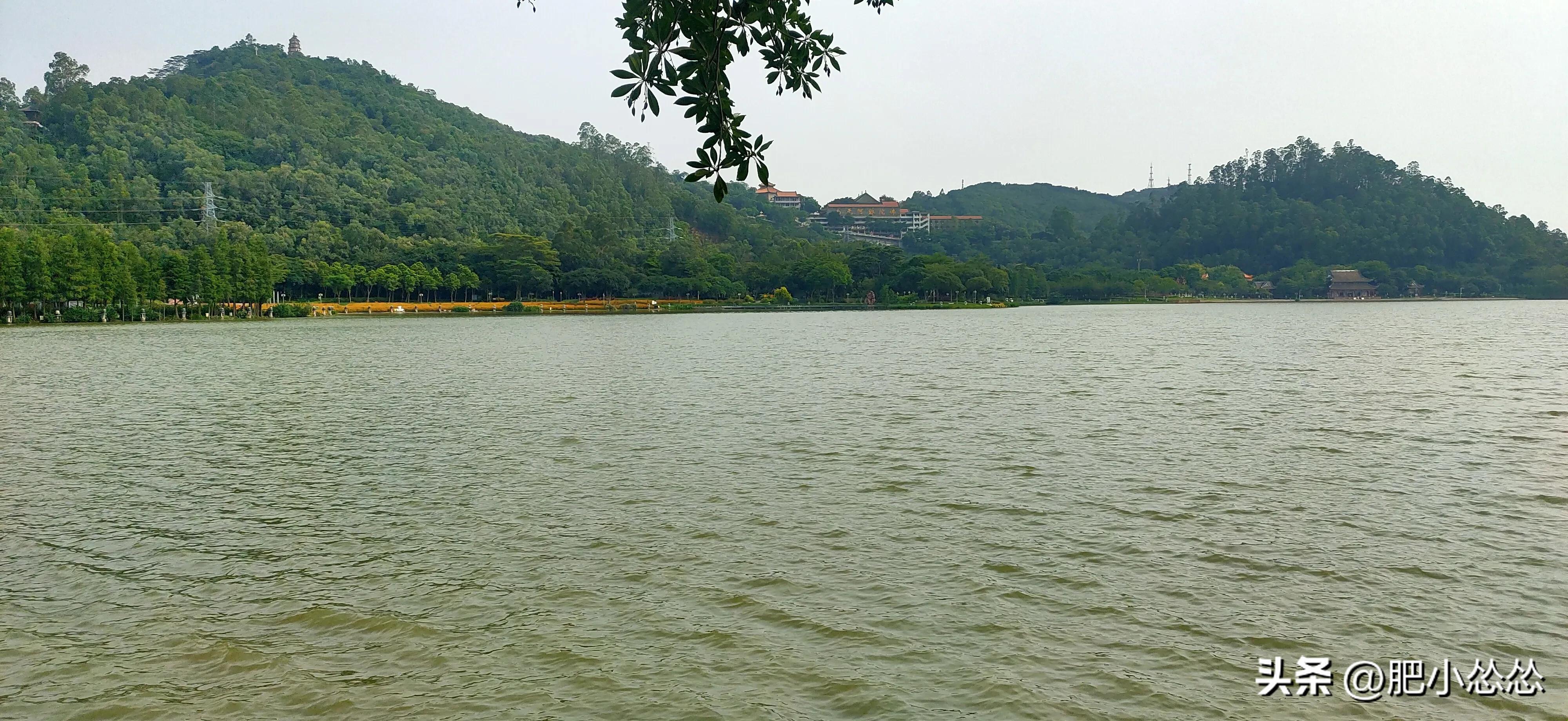 广州如何玩一天,玩转顺德攻略