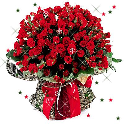 唯美玫瑰花手机壁纸,两朵玫瑰花图片唯美壁纸