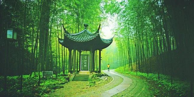 浙江建投十大牛股,浙江基建股票有哪些