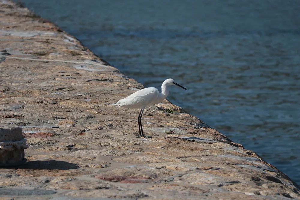 汕头潮州南澳岛旅游攻略,潮州汕头南澳岛自驾游攻略