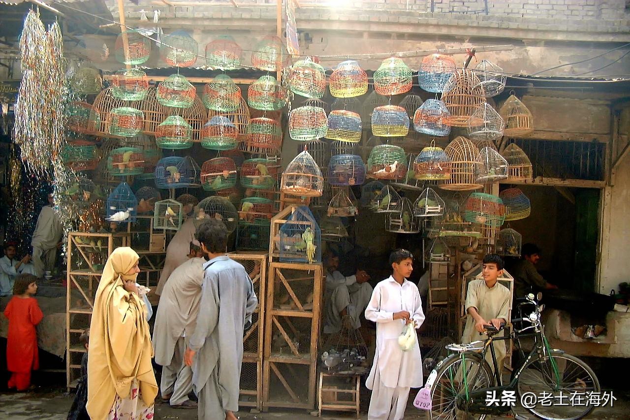 巴基斯坦铁哥们现状,巴铁小伙在巴基斯坦的现状