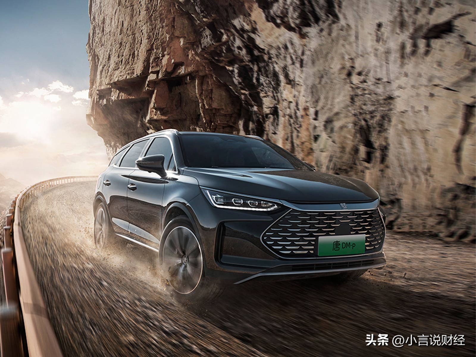 特斯拉女销售需要什么条件,特斯拉女客户维权