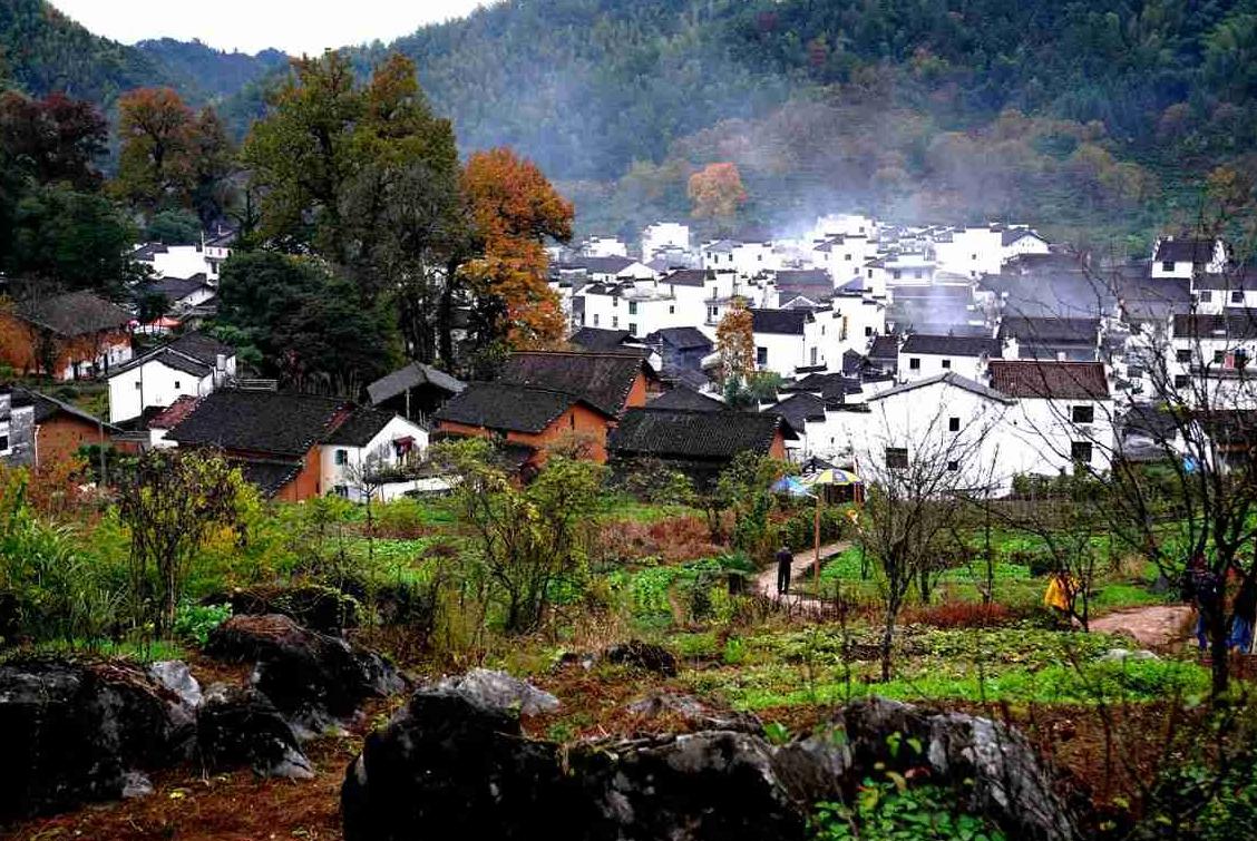 关于农村改革的最新政策,农村改革新政策2020年