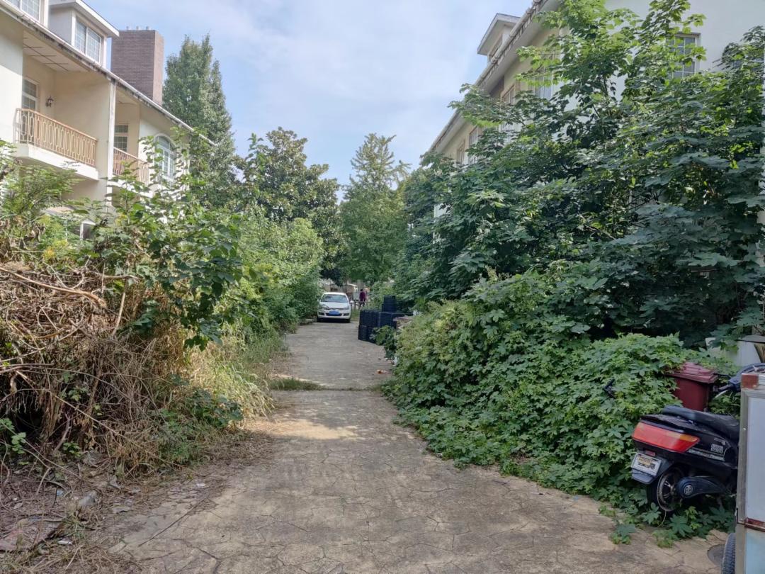 踩盘了解房源信息,踩盘要了解的楼盘信息