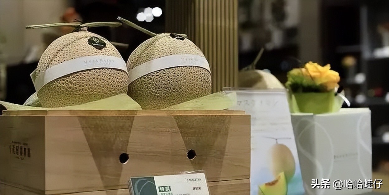 最贵的进口水果店,日本最贵水果店