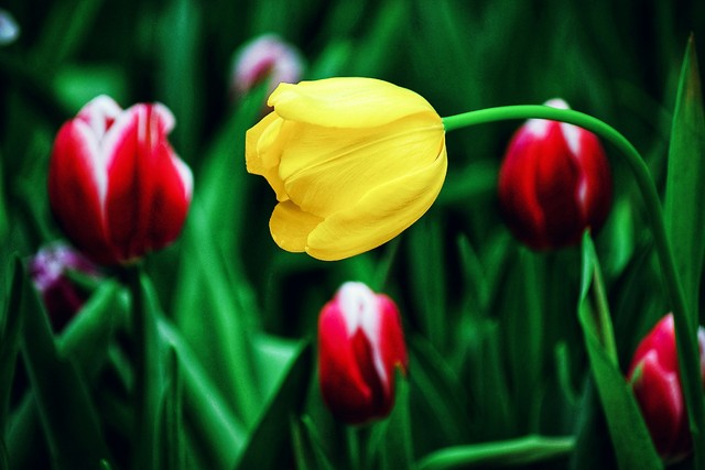 这位80后受贿1600多万细节曝光,那些贪污受贿的人最后都怎么样了