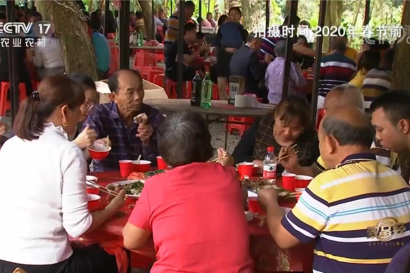 男子承包600多亩玉米血本无归,33岁男子承包900亩荒山