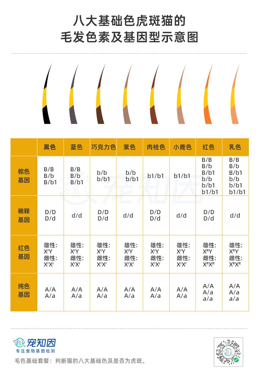 基因技术重大突破,基因科技的重大突破
