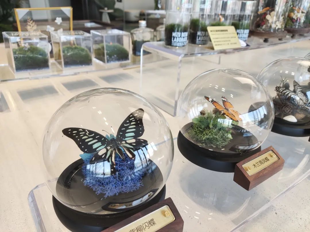 龙湖116洋房四叶草户型,南京龙湖四叶草户型