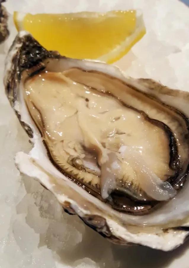 男人大补食材大全及功效,男人应该吃哪些食物大补