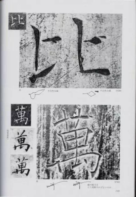 宸ョ瑪鐢绘潹鏅箟鐢诲唽,鏉滈箖鏉ㄦ櫘涔夊畬鏁寸増