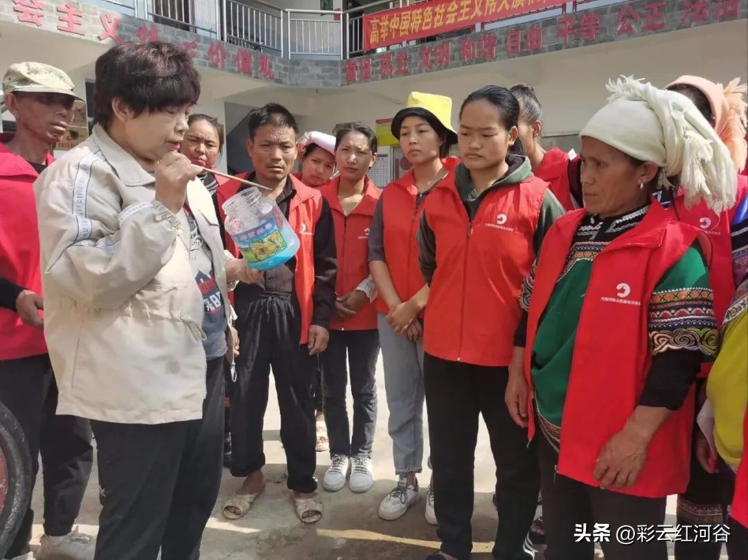 【“三话六学”实践活动】石头寨乡：“学科技”提升群众就业创业能力