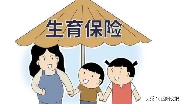 2023年生育保险新政策是什么,2023年生育保险新规则解读