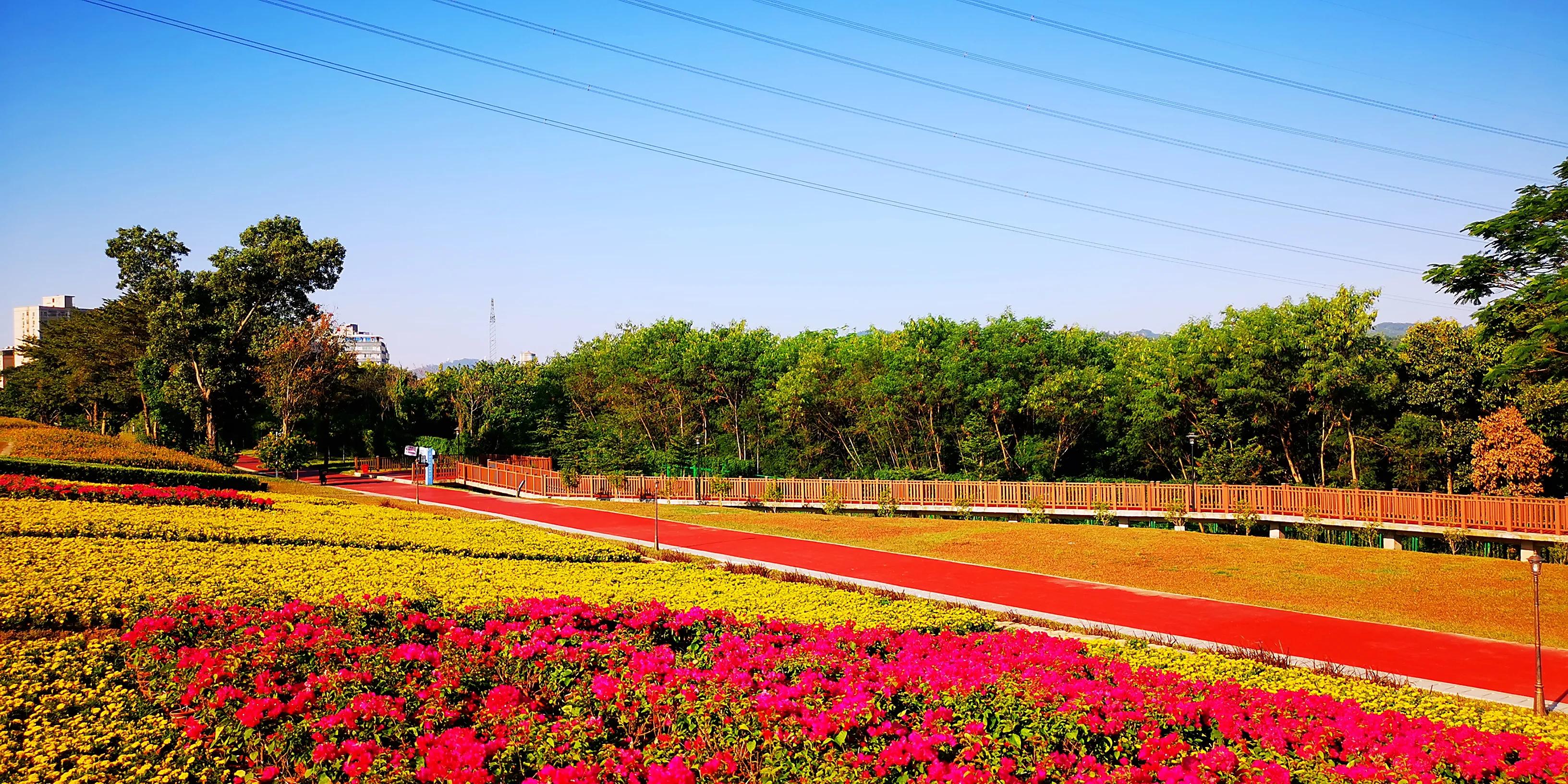 深圳环湖徒步,深圳环形绿道有哪条