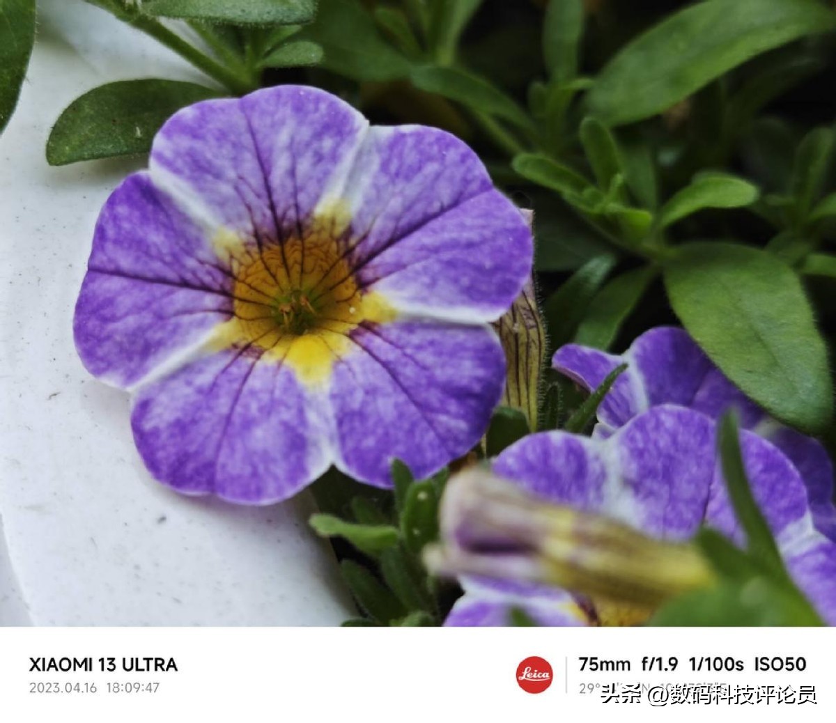 超微距镜头小米13ultra,超越小米13ultra影像