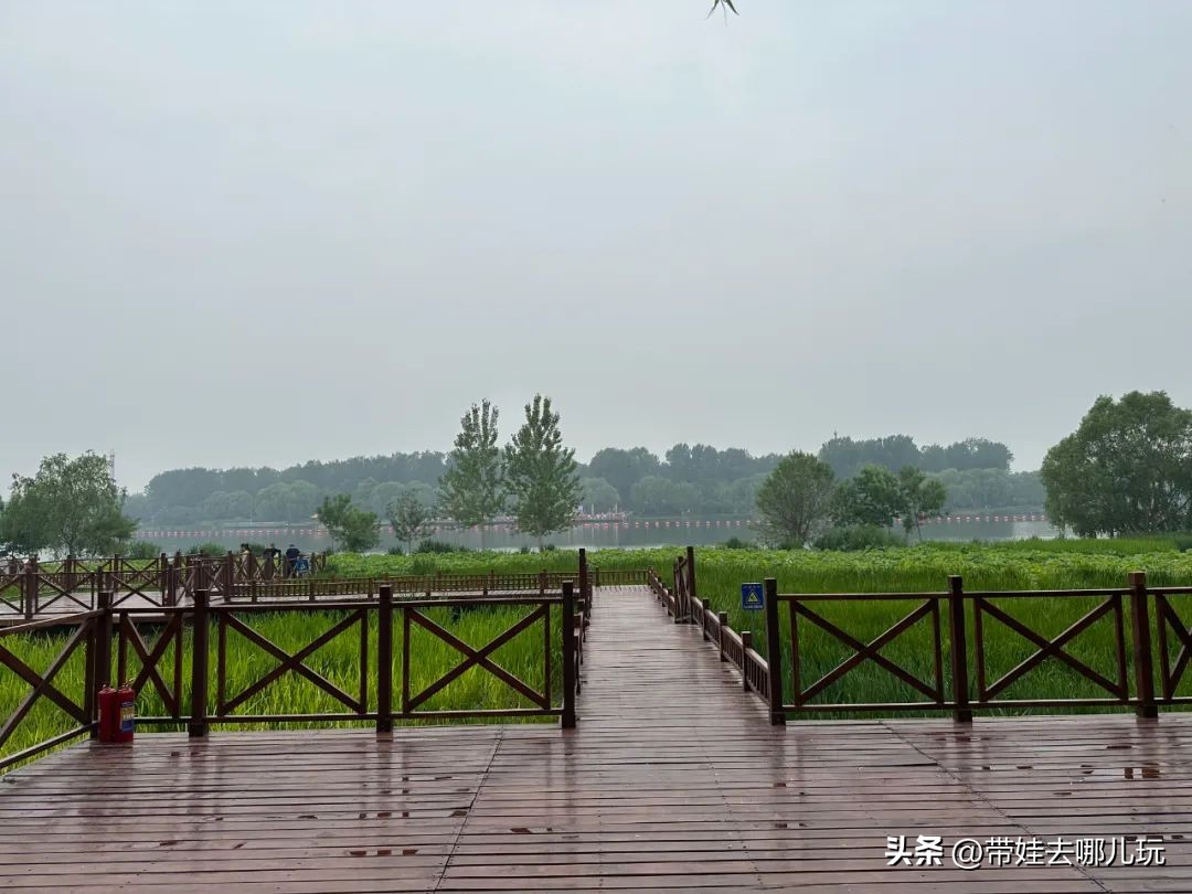 可搭帐篷公园,可以骑车搭帐篷的公园