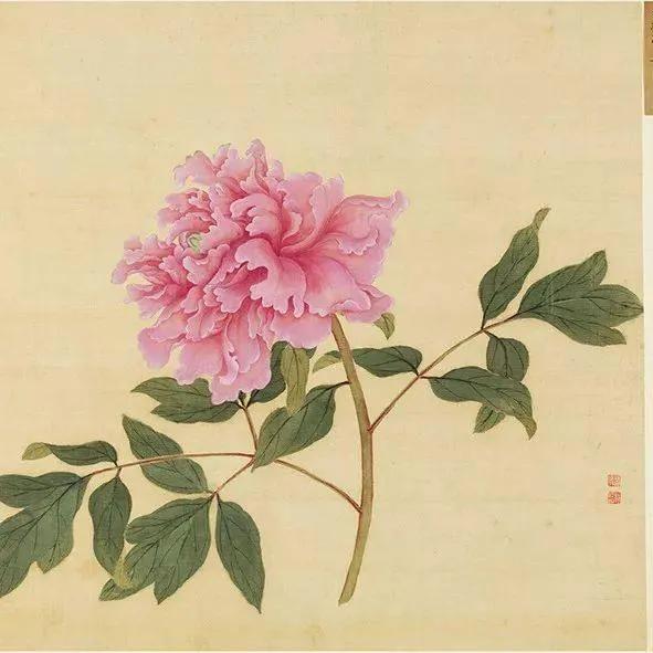 蒋廷锡牡丹画法,蒋廷锡百种牡丹画法