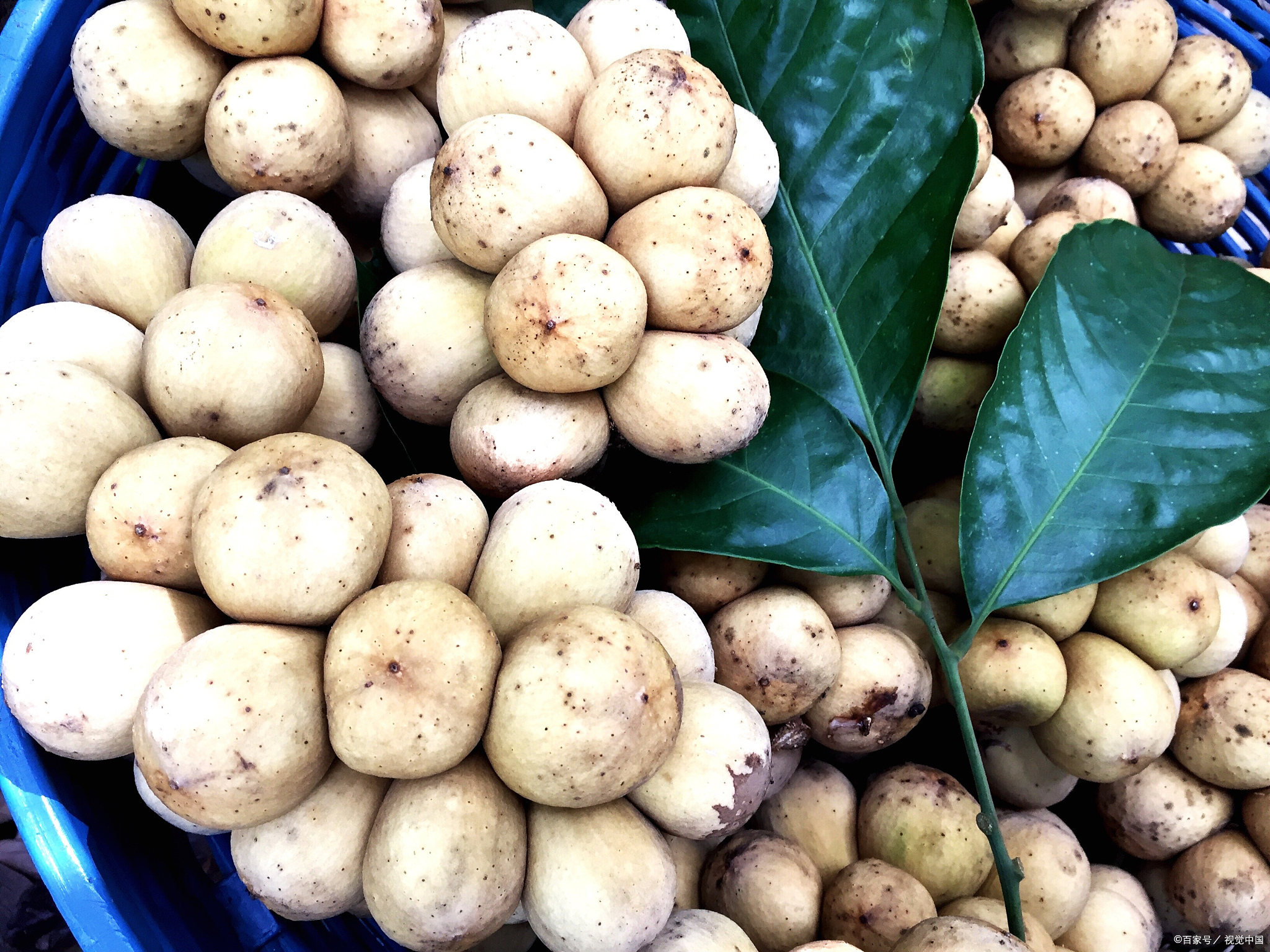 武汉十大特产排行榜，每次去了都必须吃一份热干面！